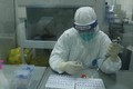 新冠肺炎疫情：22日中午越南新增本土确诊病例50例