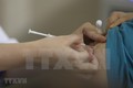 政府为胡志明市进口新冠疫苗创造便利条件