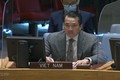 越南与联合国安理会：越南敦促努力解决中非共和国和叙利亚的人道主义和安全挑战