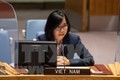 越南与联合国安理会：越南支持促进重新执行《联合全面行动计划》的外交努力