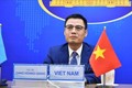越南与联合国安理会：越南为安理会事务作出切实贡献
