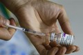 新冠肺炎疫苗基金累计筹集捐款8.046万亿越盾