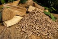越南成为全球第二大木质颗粒出口国