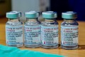 越南外交部例行新闻发布会：越南希望各国加强新冠疫苗信息共享