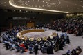 越南与联合国安理会：越南对塞浦路斯的政治紧张局势表示担忧