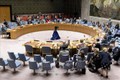 越南与联合国安理会：越南呼吁采取紧急行动防止黎巴嫩崩溃