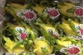 越南火龙果颇受澳大利亚消费者的欢迎