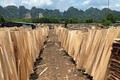 2021年上半年越南桉木单板对中国出口大幅增长