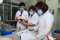 越南治疗新冠肺炎草药临床前研究结果出炉