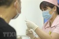 “越南制造”疫苗COVIVAC临床实验获政府资金支持