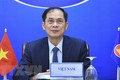 越南外长裴青山出席缅甸人道主义援助视频会议