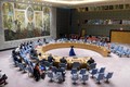 越南与联合国安理会：越南呼吁加强国际合作 应对恐怖主义危机