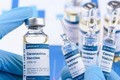 越南与联合国安理会：越南对新冠疫苗公平分配和保护人权建言献策