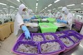  虾类产品加工业努力实现今年所提出的各项既定目标