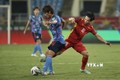 2022年卡塔尔世界杯亚洲区预选赛：日本共同社高度评价越南门将裴晋长