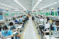 越南劳动力市场需求升温