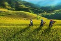 谅山省集中资源 促进少数民族和山区同胞取得突破性发展