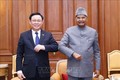 越南国会主席王廷惠会见印度总统拉姆•纳特•科温德