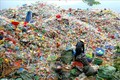 越南努力减少塑料垃圾对人类健康的影响