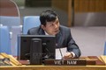 越南与联合国安理会：越南支持巴勒斯坦与以色列和平共处