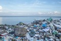 加强海洋塑料垃圾管理 实现水产品行业可持续发展