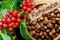 越南成为世界上最大的罗布斯塔咖啡出口国