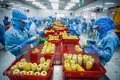 越南农产品出口必要适应欧盟新标准