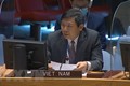 邓廷贵大使：越南提升了在联合国的多边外交层次和水平