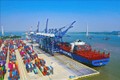 2021年盖梅-施威港口群船舶进出量和货物吞吐量增加2%
