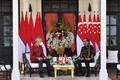 印尼与新加坡讨论共同关心的问题 签署多项合作协议