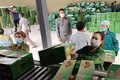 “优质”企业努力将越南农产品打入俄罗斯市场