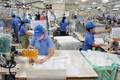 胡志明市出口加工区和工业园区需要5.1万名劳动者