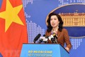 越南外交部例行记者会：提前准备措施与方案 维护越南公民合法权益