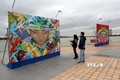 岘港“越南城市艺术”绘画展