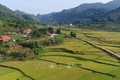 越南2021-2025年新农村建设国家目标计划正式获批