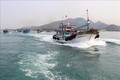 越南茶荣省超过80%远海捕捞渔船已装置航程监视设备