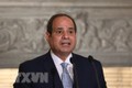 埃及总统塞西：越南与埃及积极维持友好合作关系
