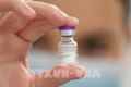越南胡志明市计划今年九月前完成针对五至十二岁以下儿童接种新冠疫苗计划