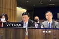 越南出席联合国教科文组织执行局第214届会议