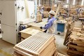 英国—越南木材和木制品的潜在出口市场