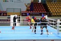第31届东运会：越南跆拳道队力争摘下至少4枚金牌