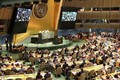 越南当选第77届联合国大会副主席