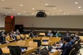 越南主持联合国大会关于预防和应对疫情的决议（草案）磋商会