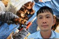 岘港市：一男子因涉嫌走私珍稀野生动物被抓