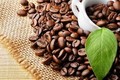 越南对美的咖啡出口机会不断扩大