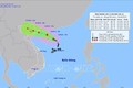 越南今年第二号台风直冲海防、广宁沿海地区