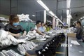 2022年前7个月越南鞋类出口创汇超过140亿美元