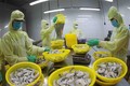 美国继续对来自越南的暖水虾征收反倾销税