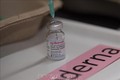 新加坡批准使用双价新冠疫苗加强针