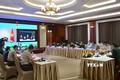 越南-新加坡联合工作组第十次会议以线上形式举行